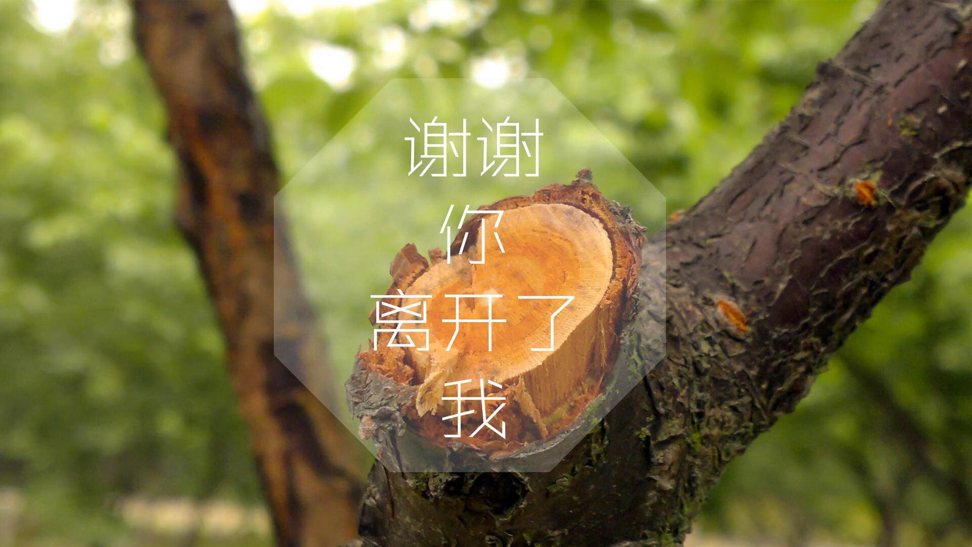 中超裁判协会推出新规，力保比赛公平公正，中超裁判监督名单