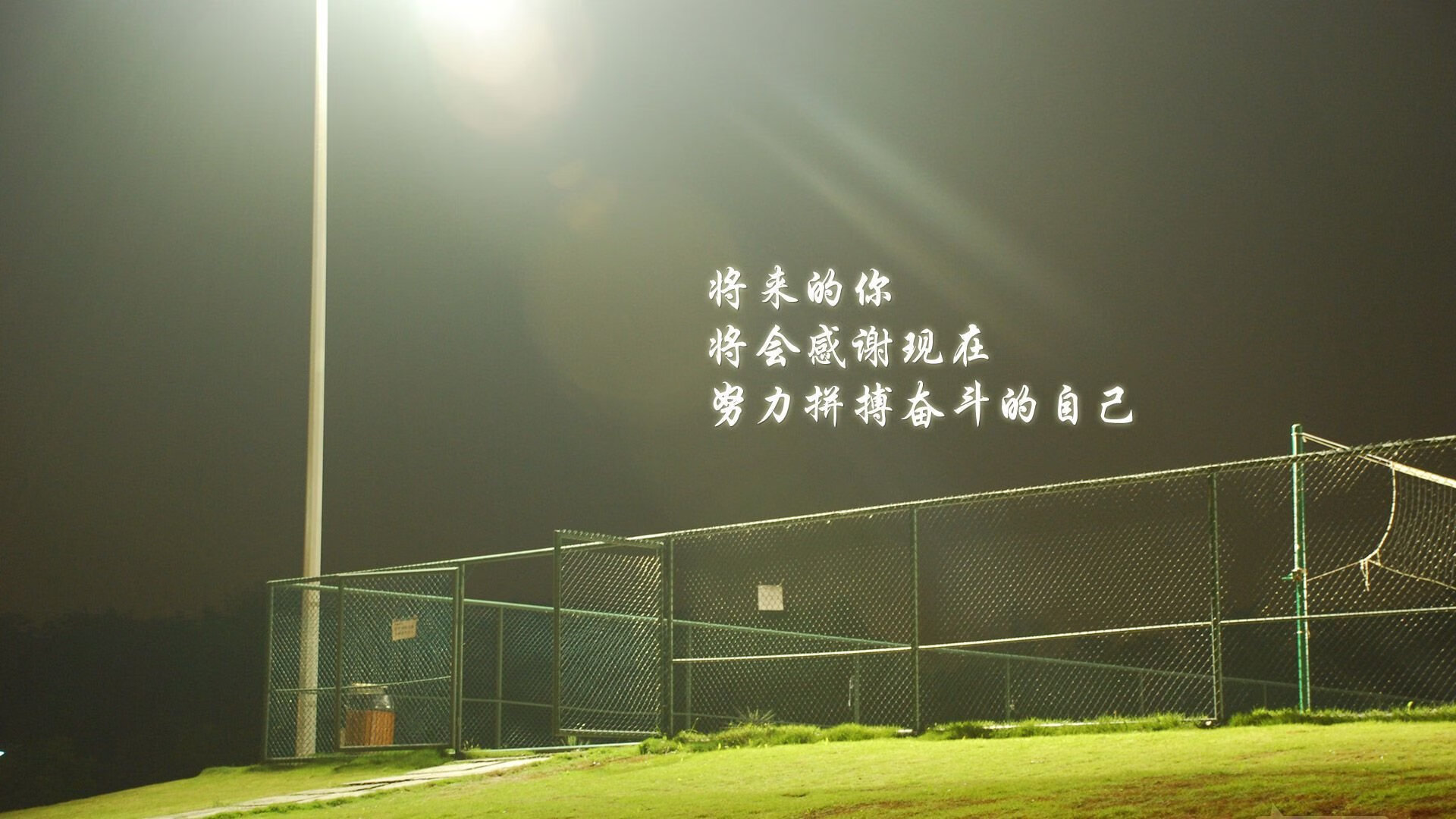 意大利足球比赛举办派对活动，球迷狂欢，意大利足球场比赛