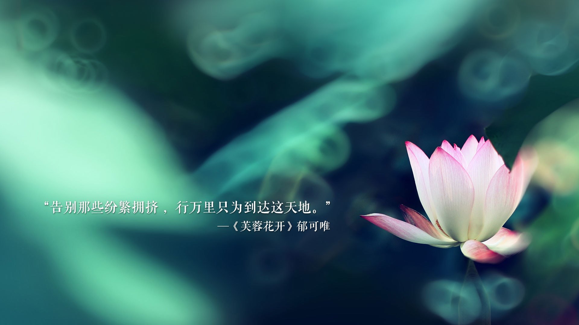 世界帆板青年锦标赛中国小将发挥出色，全国帆板锦标赛