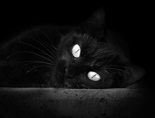 爱游戏体育app-CBA多支球队强化教练团队，cba教练兼球员