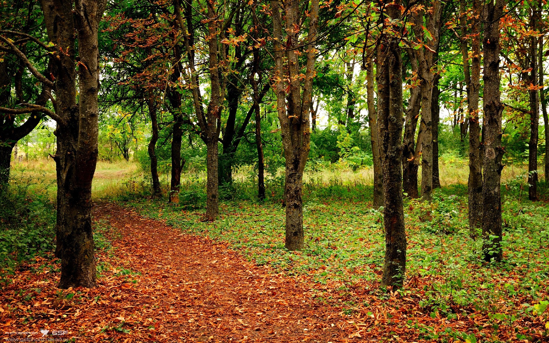 出发弹跳力与速度提升关系，发展弹跳力可以采用的训练方法是