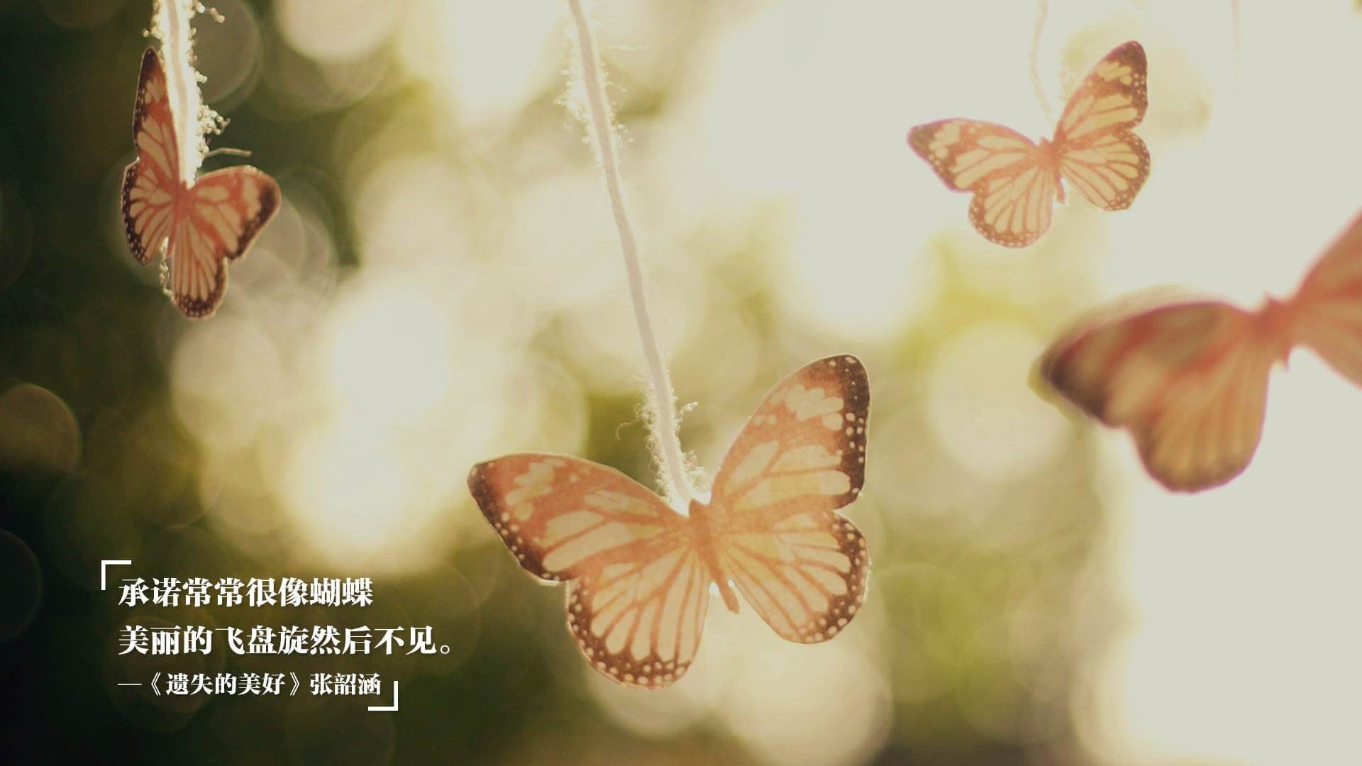 勒沃库森锋线火力全开稳居积分榜前列，勒沃库森首发