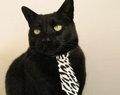 丹·卡特：全黑队长时间主导国际橄榄球的背后推手，丹特利nba