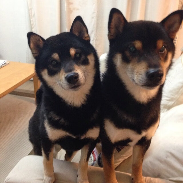 巴雷特：凭借高效的进攻组织，带领全黑队打出流畅配合，巴雷特m