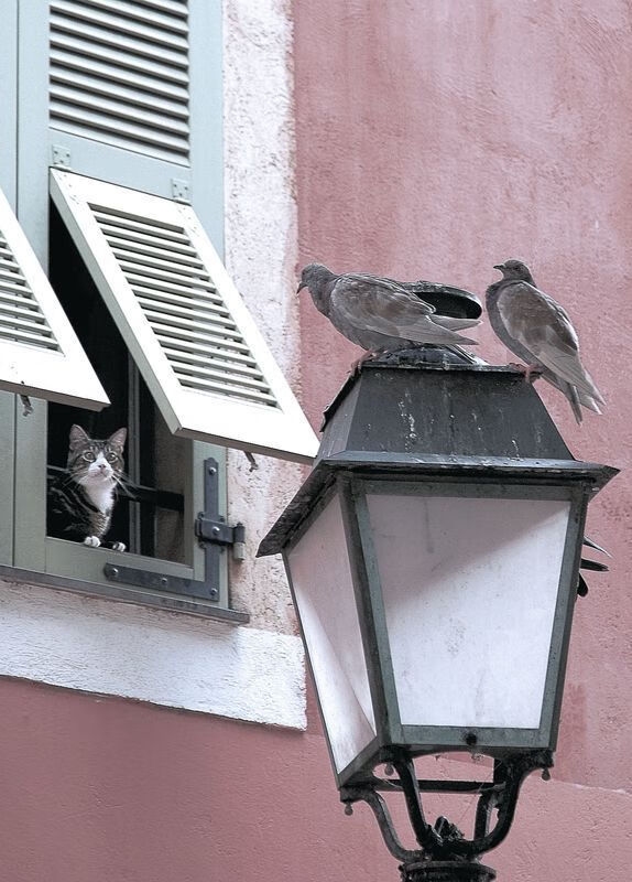 欧洲杯战术革新：变化多端，令人期待！，欧洲杯各个球队技战术打法