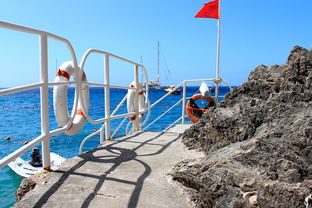 爱游戏-海湾者未来青训体系逐渐完善，海湾技术